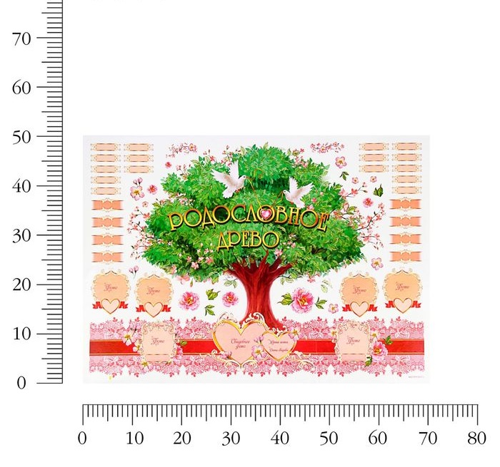 Интерьерная наклейка‒фоторамка Родословное древо, 50 × 70 см/Сл