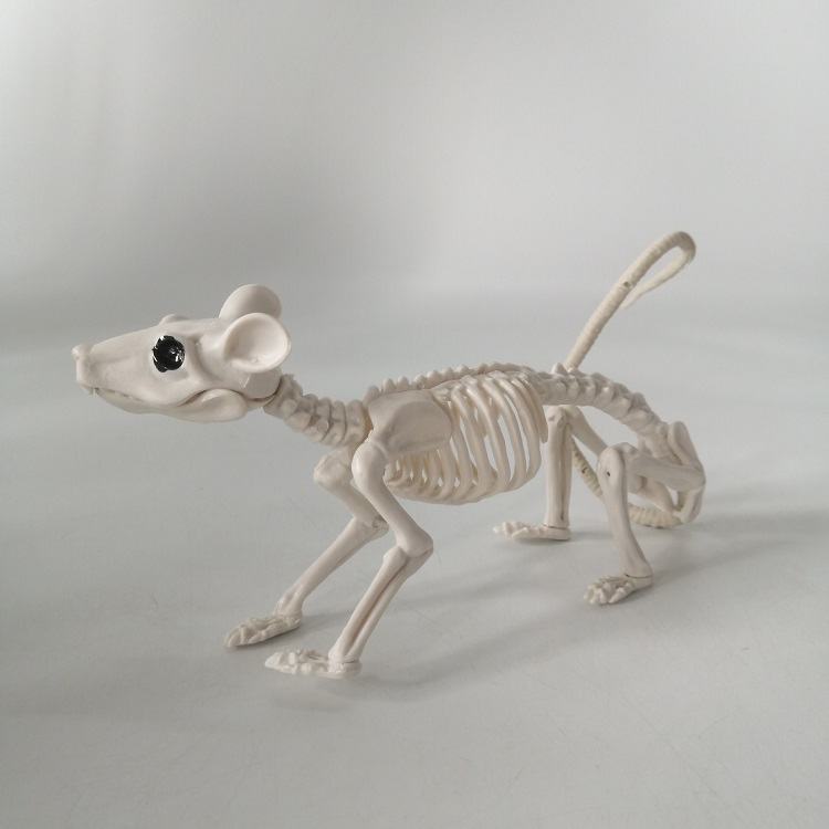 Скелет мыши, 9*41 см /Сф