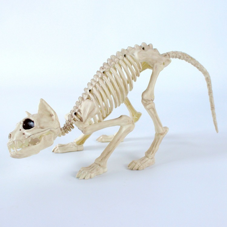 Скелет кошки, 30*17*5 см /Сф