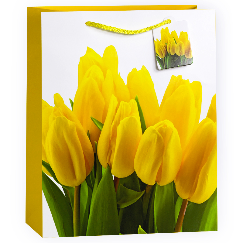 Пакет подарочный Тюльпаны, Желтый, 18*23*10 см /ДБ
