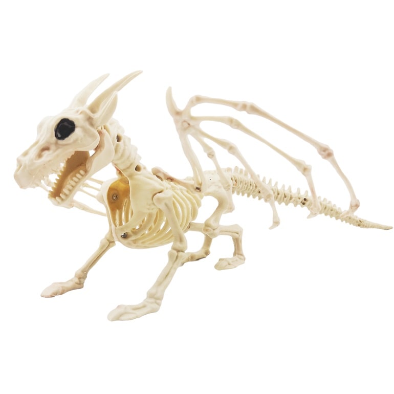 Скелет Дракона, 25,4*34*16 см /Сф
